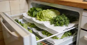 Foto: (Imagem sem texto alternativo disponivel ID [2682861])