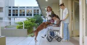 Foto: (Imagem sem texto alternativo disponivel ID [877632])