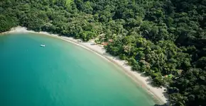 Foto: (Getty Images)