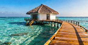 Foto: (Imagem sem texto alternativo disponivel ID [2723966])