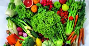 Estudo analisa impactos de uma dieta vegana em todo o mundo