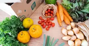 Liv Up completa 5 anos e anuncia produtos a R$ 5