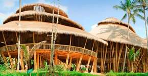 Foto: (Imagem sem texto alternativo disponivel ID [396453])