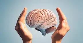 Foto: (AlexSava/istock)