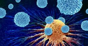 Foto: (iStock/wildpixel)