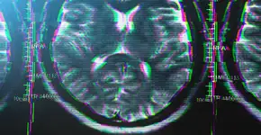 Foto: (DedMityay/istock)