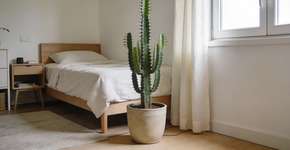 Foto: (Imagem sem texto alternativo disponivel ID [2692867])