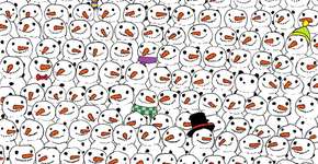 Foto: (Imagem sem texto alternativo disponivel ID [1010772])