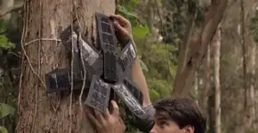 Como alguns celulares velhos podem ajudar os índios a denunciarem o desmatamento na Amazônia