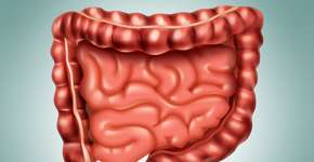 Estudo mostra que medicamento é capaz de curar câncer de intestino