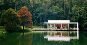 Foto: (Imagem sem texto alternativo disponivel ID [865136])