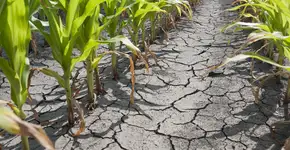 Jovens usam autores nordestinos para falar sobre falta de água