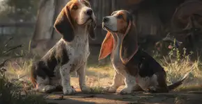 Segredo dos cães de orelha caída e sua comunicação única