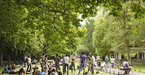 Aumenta emissão de visto de trabalhos para brasileiros na Irlanda