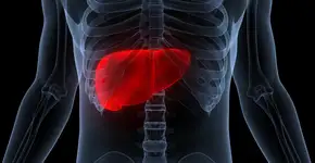 O suco potente para amenizar a gordura no fígado; aprenda a fazer
