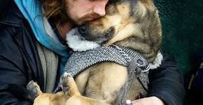 Foto: (Imagem sem texto alternativo disponivel ID [839018])