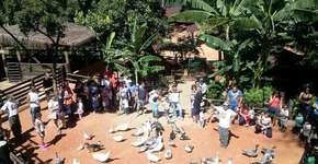 Foto: (Imagem sem texto alternativo disponivel ID [1841815])