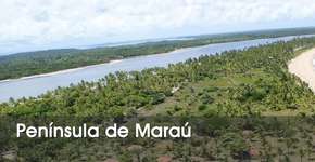 Foto: (Imagem sem texto alternativo disponivel ID [1869270])