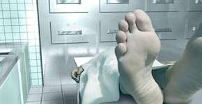 Foto: (Imagem sem texto alternativo disponivel ID [1012165])