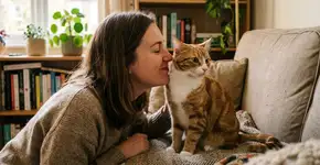 Por que não é exatamente certo encher os gatos de beijos, mesmo que os amemos?
