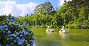 Rede de hotéis oferece descontos especiais em Gramado