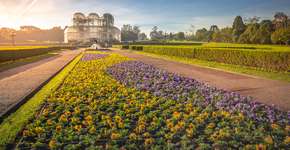 Gol tem passagens aéreas para voos nacionais a partir de R$ 122