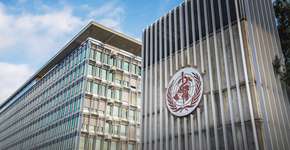 OMS monitora casos de hepatite aguda grave de origem desconhecida