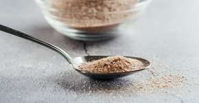 Foto: (marinesea/istock)