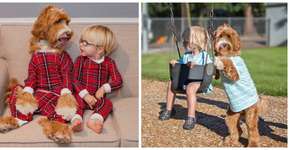 Conheça o cão Reagan e seu melhor amigo, Buddy, de três anos