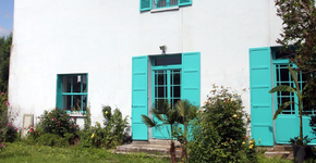 Foto: (Divulgação)