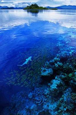 Foto: Stuart Chape, vencedor na categoria 