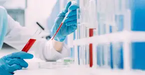 Foto: (EdZbarzhyvetsky/Deposit Photos)