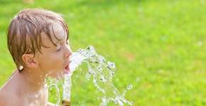 Foto: (Imagem sem texto alternativo disponivel ID [1834417])