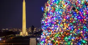 Foto: (Earth Trotter Photos/iStock)