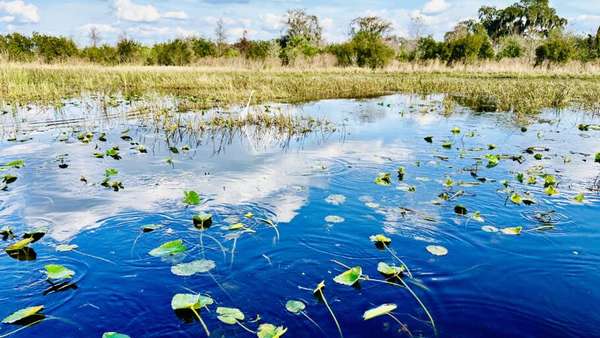 Barcos movidos a hélice, como os de filmes, levam o turista no meio do pântano. Aqui, barcos da Spirit of the Swamp