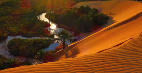 Foto: (Imagem sem texto alternativo disponivel ID [1935104])