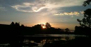 Infográfico: você sabia que a Rússia tem mais áreas florestais que o Brasil?