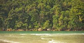 3 praias de Bertioga (SP) para sair da rotina da capital