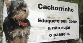 Cidade da Espanha devolve cocô de cachorro esquecido na rua via correio