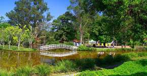 Foto: (Divulgação)