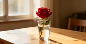 Foto: (Imagem sem texto alternativo disponivel ID [2673561])