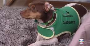 Foto: (Reprodução/TV Globo)