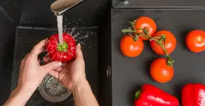 Guia gratuito desvenda mitos e verdades sobre agrotóxicos