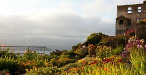 Conheça dez projetos de recuperação de áreas degradadas ao redor do mundo