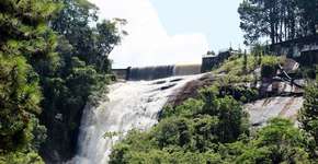 Foto: (Divulgação)