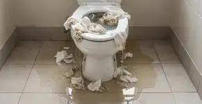 Foto: (Imagem sem texto alternativo disponivel ID [2742646])