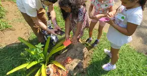 Foto: (Foto: Divulgação.)