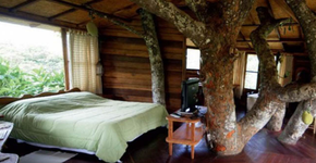 Viaje pela América Latina a partir de R$ 442, e conheça lugares incríveis!