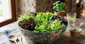 Alface Verde vs Roxa vs Mimosa: Qual a diferença e qual é a mais gostosa?