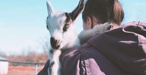 Foto: (Imagem sem texto alternativo disponivel ID [1868382])